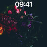 Velvet Night Wallpaper with Whispering Petals wallpaper for iPhone, iPad & Mac