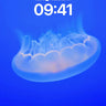 Serene Float Wallpaper with Bioluminescent Drift wallpaper for iPhone, iPad & Mac