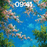 Serene Canopy Wallpaper with Cherry Blossom Sky wallpaper for iPhone, iPad & Mac
