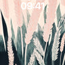 Serenity Grass Wallpaper with Whispering Feathers wallpaper for iPhone, iPad & Mac