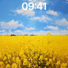 Golden Hush Wallpaper with Skyward Light wallpaper for iPhone, iPad & Mac