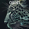 Shadowed Gaze Wallpaper with Emerald Echo wallpaper for iPhone, iPad & Mac