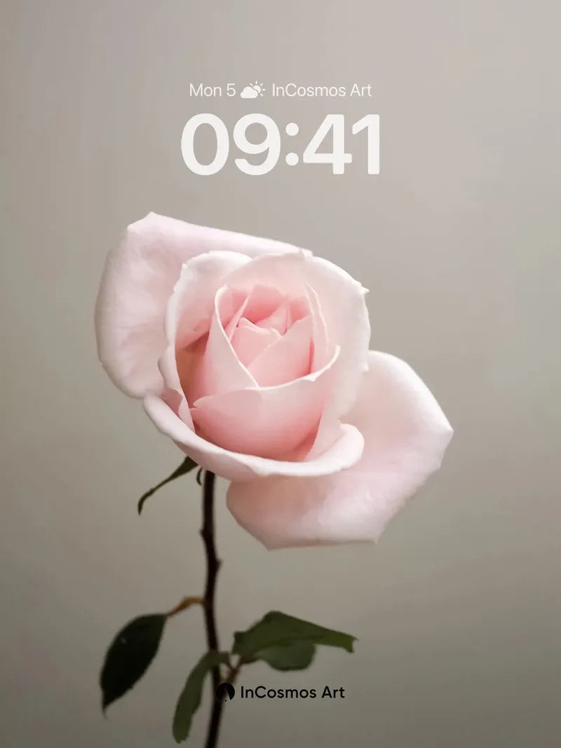 Serene Bloom Wallpaper with Velvet Petals