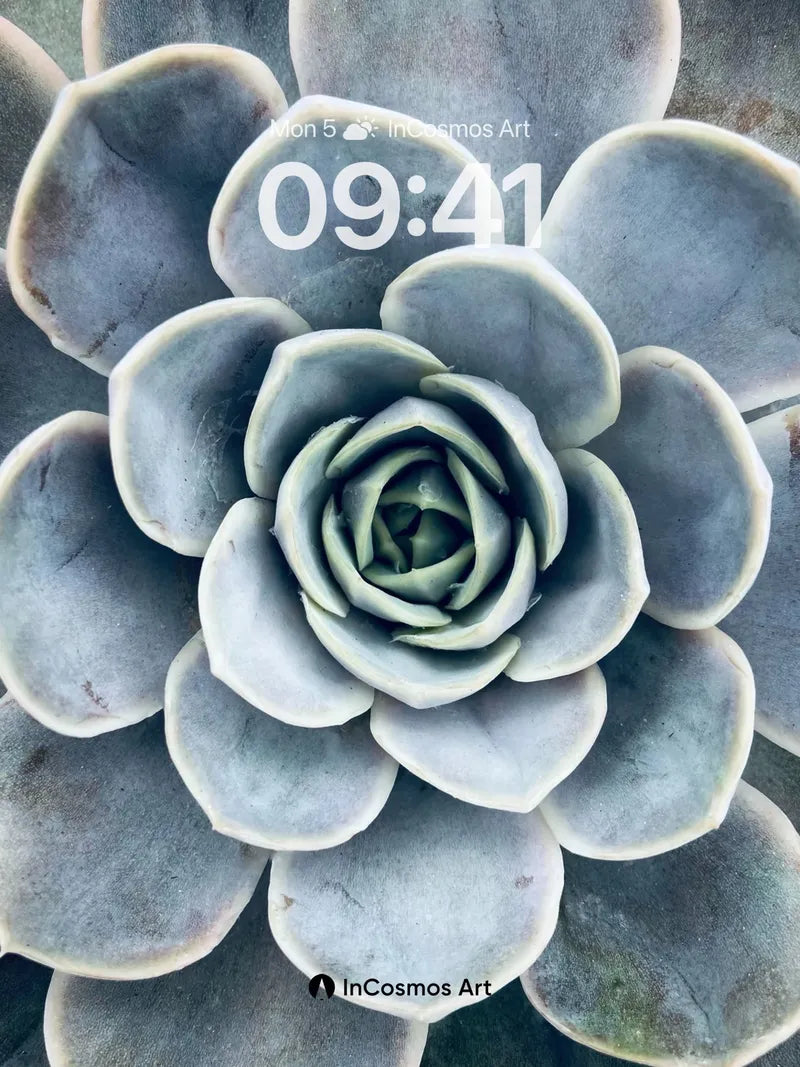 Silent Bloom Wallpaper with Frost-Laced Petals