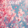 Soft Petal Drift Wallpaper in Spring Haze wallpaper for iPhone, iPad & Mac