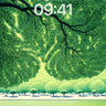 Serenity Canopy Wallpaper with Whispering Leaves wallpaper for iPhone, iPad & Mac