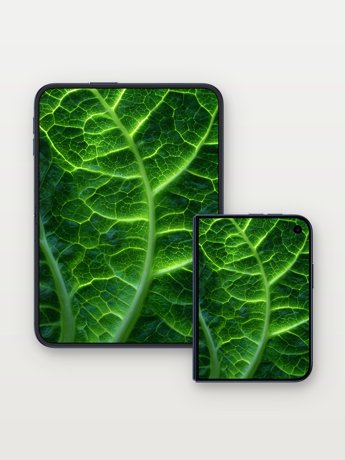 Luminous Vein Wallpaper with Living Green on iPhone Duo, open and closed