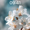 Serene Petal Wallpaper with Ethereal Light wallpaper for iPhone, iPad & Mac