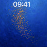 Oceanic Blue Fish School Wallpaper wallpaper for iPhone, iPad & Mac