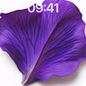 Velvet Petal Wallpaper with Veined Light wallpaper for iPhone, iPad & Mac