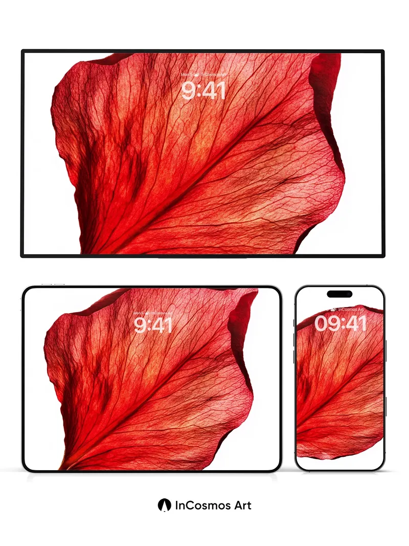 Crimson Vein Wallpaper with Breathable Texture