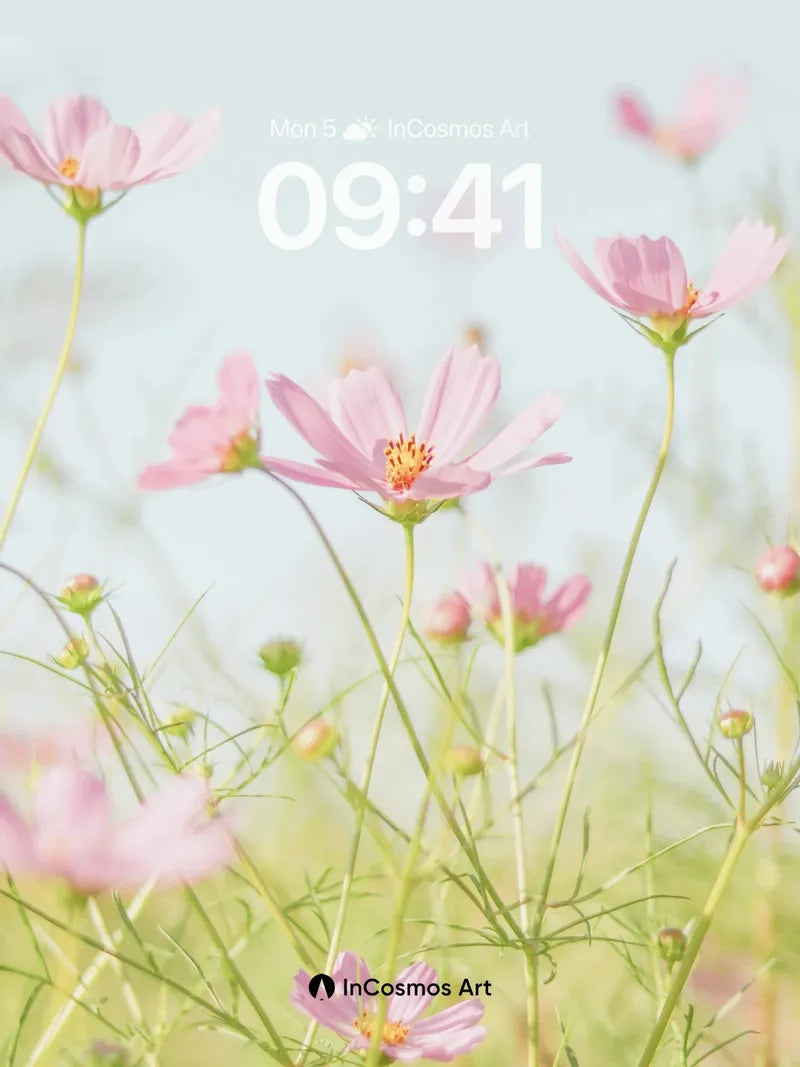 Serene Cosmos Wallpaper with Gentle Light