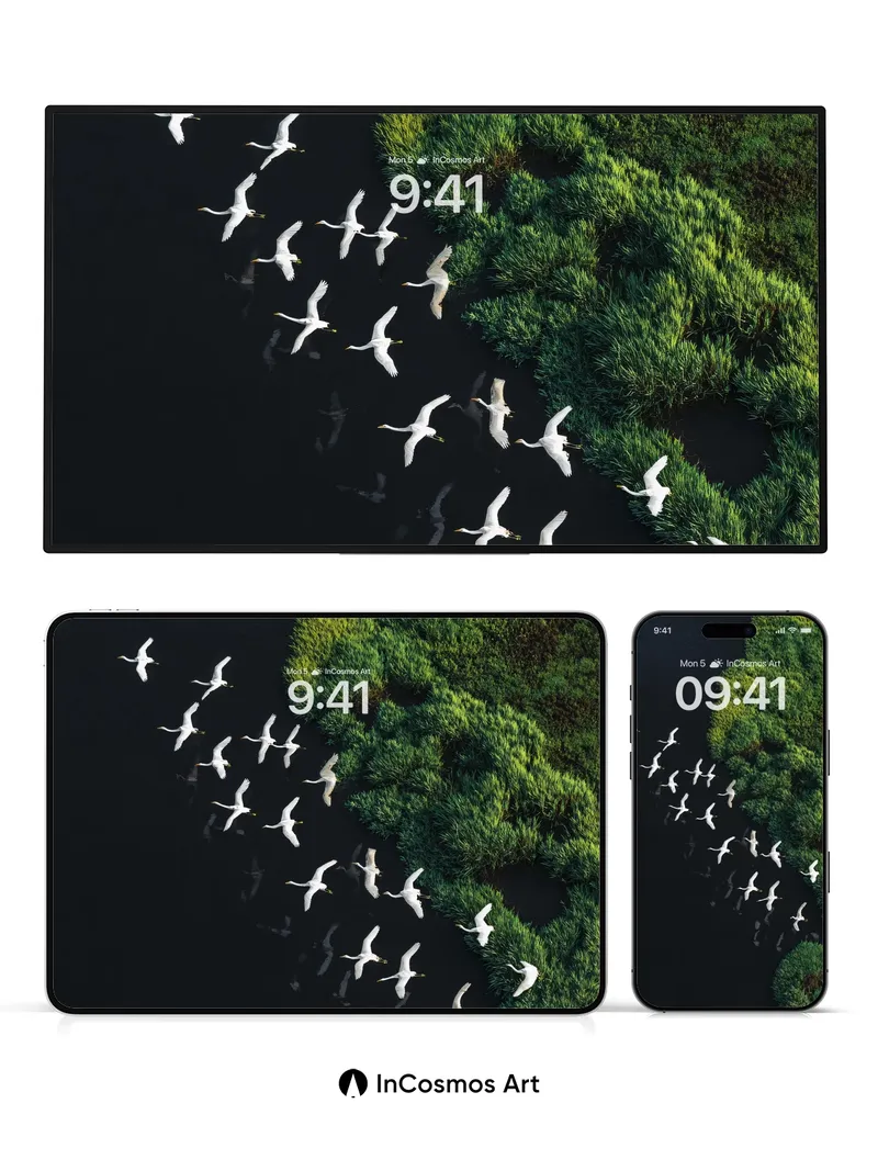 Serenity Flight Wallpaper with Marsh Whispers