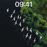 Serenity Flight Wallpaper with Marsh Whispers wallpaper for iPhone, iPad & Mac