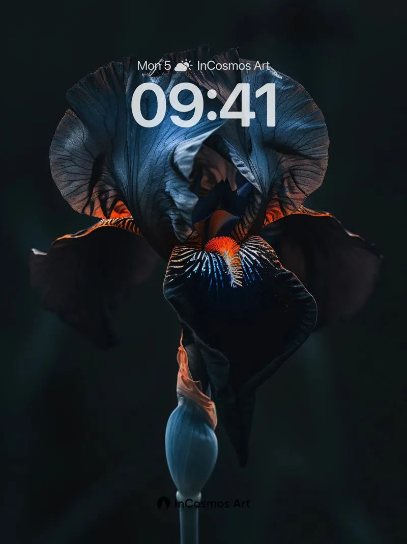 Nocturnal Iris Wallpaper with Obsidian Petals