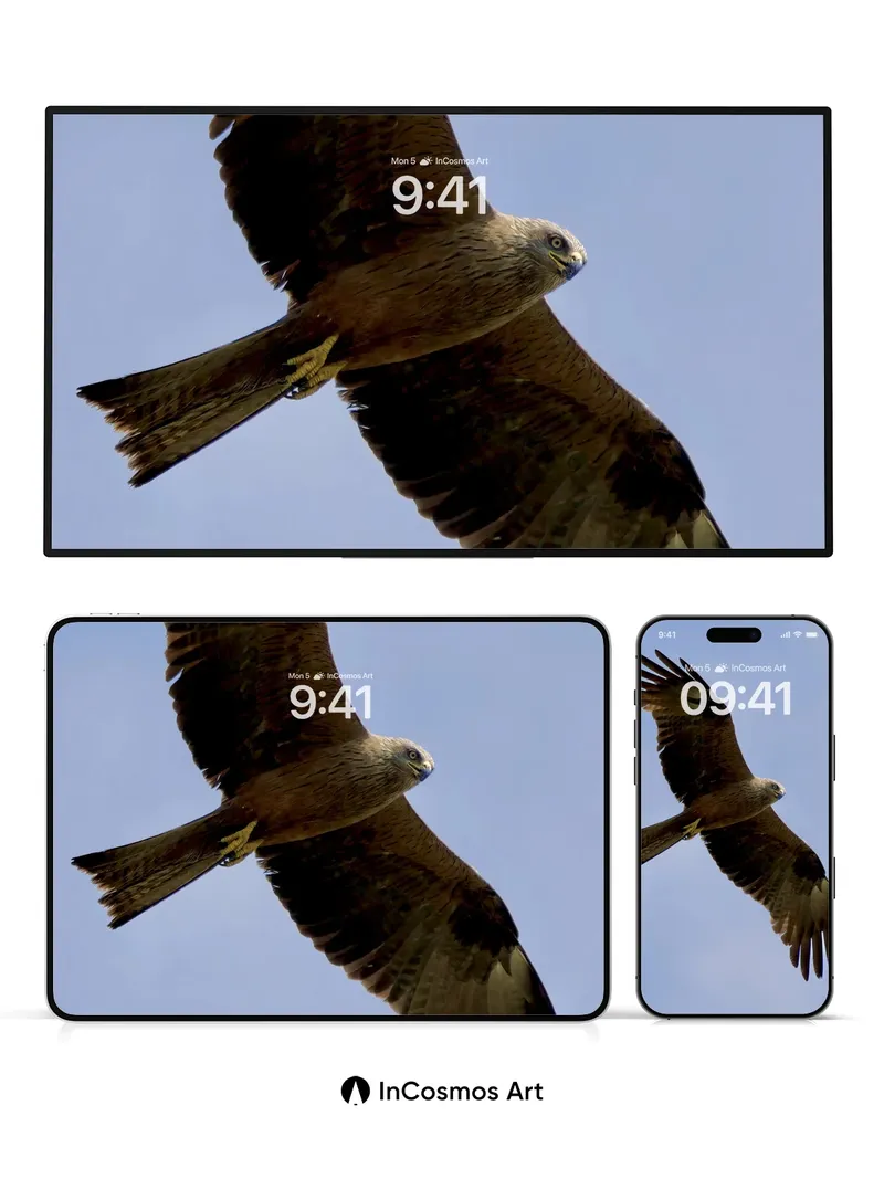 Skyward Glide Wallpaper with Feathered Grace