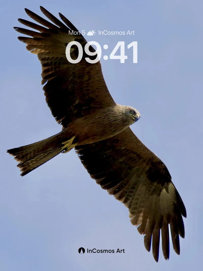 Skyward Glide Wallpaper with Feathered Grace