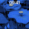 Nocturnal Lotus Wallpaper in Celestial Blue wallpaper for iPhone, iPad & Mac