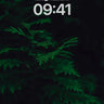 Midnight Fern Wallpaper with Whispering Shadows wallpaper for iPhone, iPad & Mac