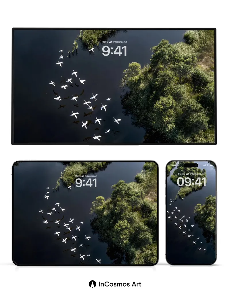Serenity Flight Wallpaper with Water Reflections