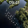 Serenity Flight Wallpaper with Water Reflections wallpaper for iPhone, iPad & Mac