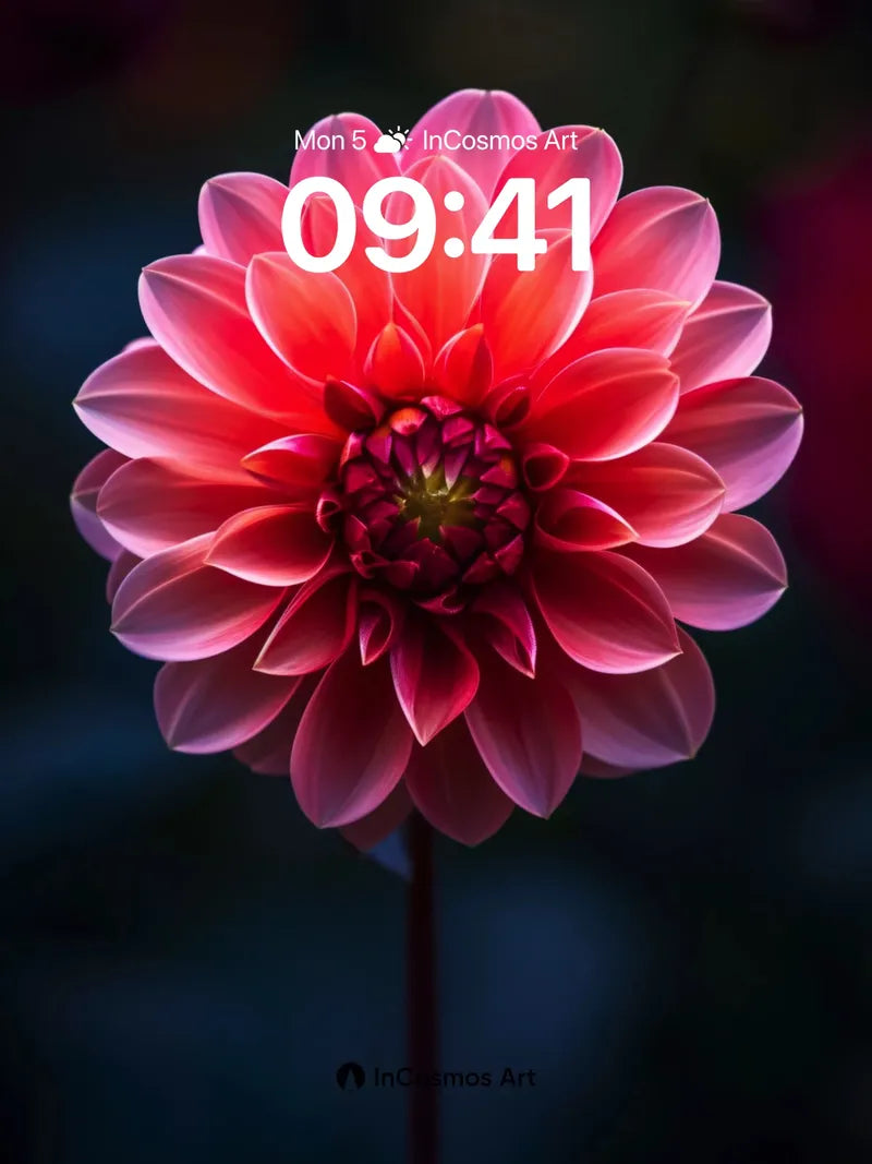 Velvet Bloom Wallpaper with Crimson Heart