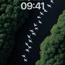 Serenity Flight Wallpaper with Forest Veil wallpaper for iPhone, iPad & Mac