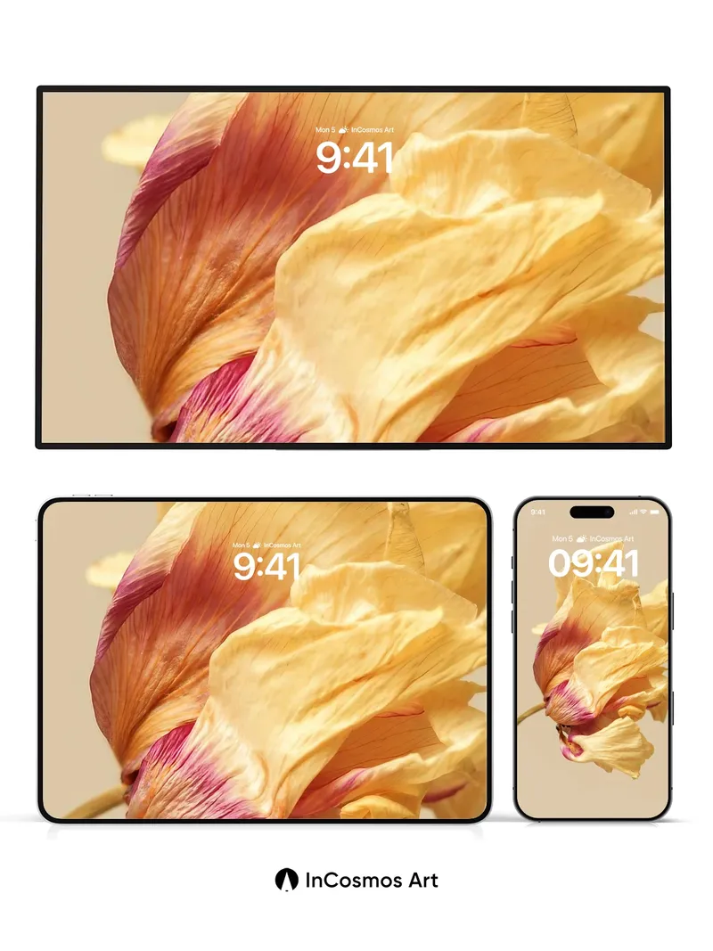 Faded Petal Wallpaper with Sunlit Veins