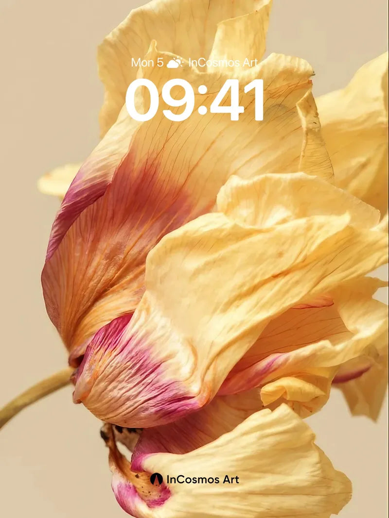 Faded Petal Wallpaper with Sunlit Veins