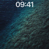 Deep Sea Whisper Wallpaper with Living Coral Veins wallpaper for iPhone, iPad & Mac
