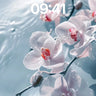 Serene Orchid Wallpaper with Dew-Laced Petals wallpaper for iPhone, iPad & Mac