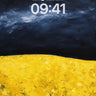 Storm-Whispered Field Wallpaper with Golden Hush wallpaper for iPhone, iPad & Mac