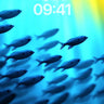 Serenity Shoal Wallpaper with Liquid Light wallpaper for iPhone, iPad & Mac