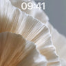 Silken Reverie Wallpaper with Whispering Petals wallpaper for iPhone, iPad & Mac