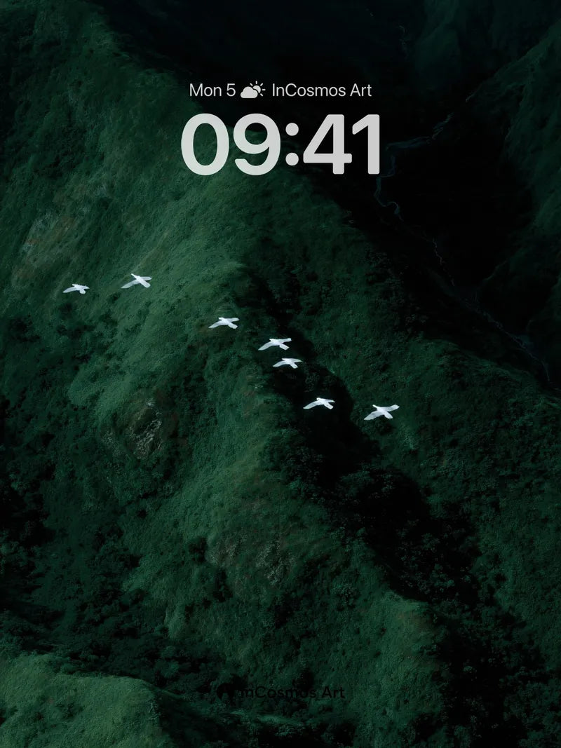 Nocturnal Flight Wallpaper with Whispering Canyons wallpaper for iPhone, iPad & Mac