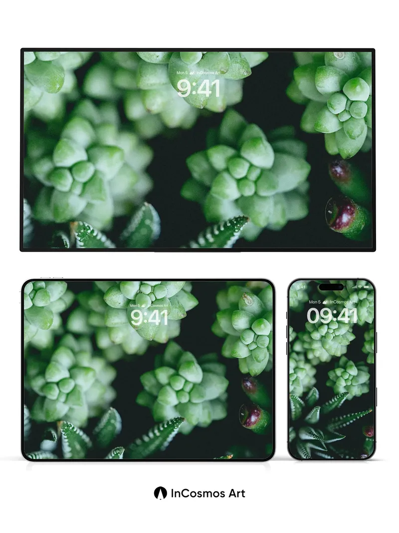 Serene Succulent Wallpaper with Dew-Kissed Leaves