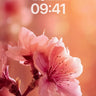Sunlit Petal Whisper Wallpaper with Soft Focus wallpaper for iPhone, iPad & Mac