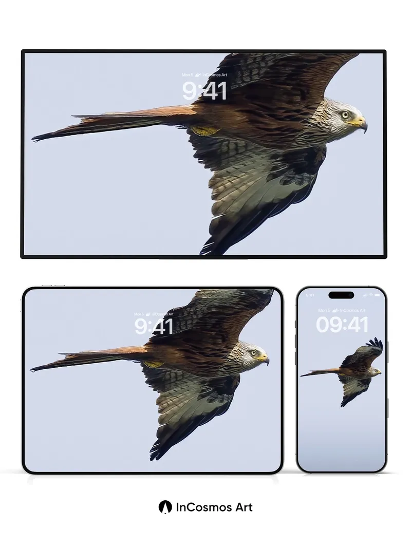 Skyward Soar Wallpaper with Feathered Grace