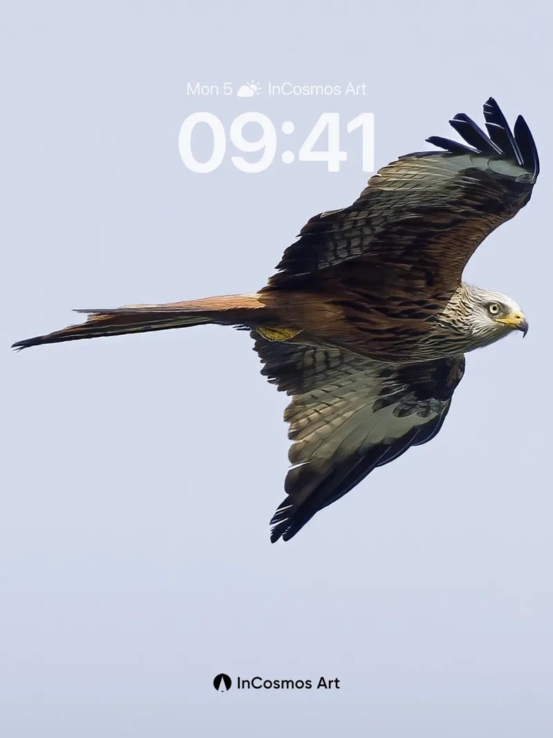 Skyward Soar Wallpaper with Feathered Grace