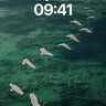 Serene Flight Wallpaper with Emerald Depths wallpaper for iPhone, iPad & Mac