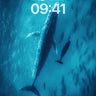 Whispering Depths Wallpaper with Bioluminescent Currents wallpaper for iPhone, iPad & Mac