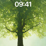 Serenity Tree Wallpaper with Golden Light Veil wallpaper for iPhone, iPad & Mac