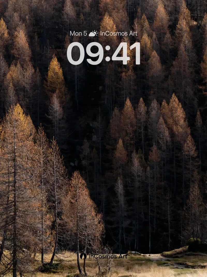 Autumn Hush Wallpaper with Golden Canopy