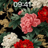 Peony Blossom Noir Background
