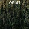 Whispering Pines Wallpaper with Shadowed Depth wallpaper for iPhone, iPad & Mac