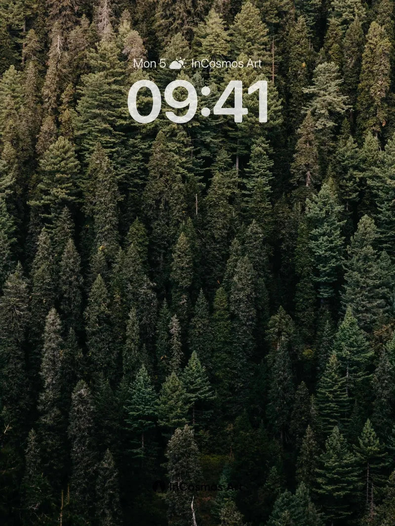 Whispering Pines Wallpaper with Shadowed Depth