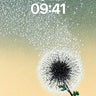Whispering Seedhead Wallpaper with Starlight Trail wallpaper for iPhone, iPad & Mac