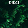 Whispering Needles Wallpaper with Emerald Shadows wallpaper for iPhone, iPad & Mac