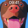 Joyful Canine Gaze Wallpaper with Textured Fur wallpaper for iPhone, iPad & Mac