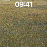Whispering Field Wallpaper with Golden Haze wallpaper for iPhone, iPad & Mac